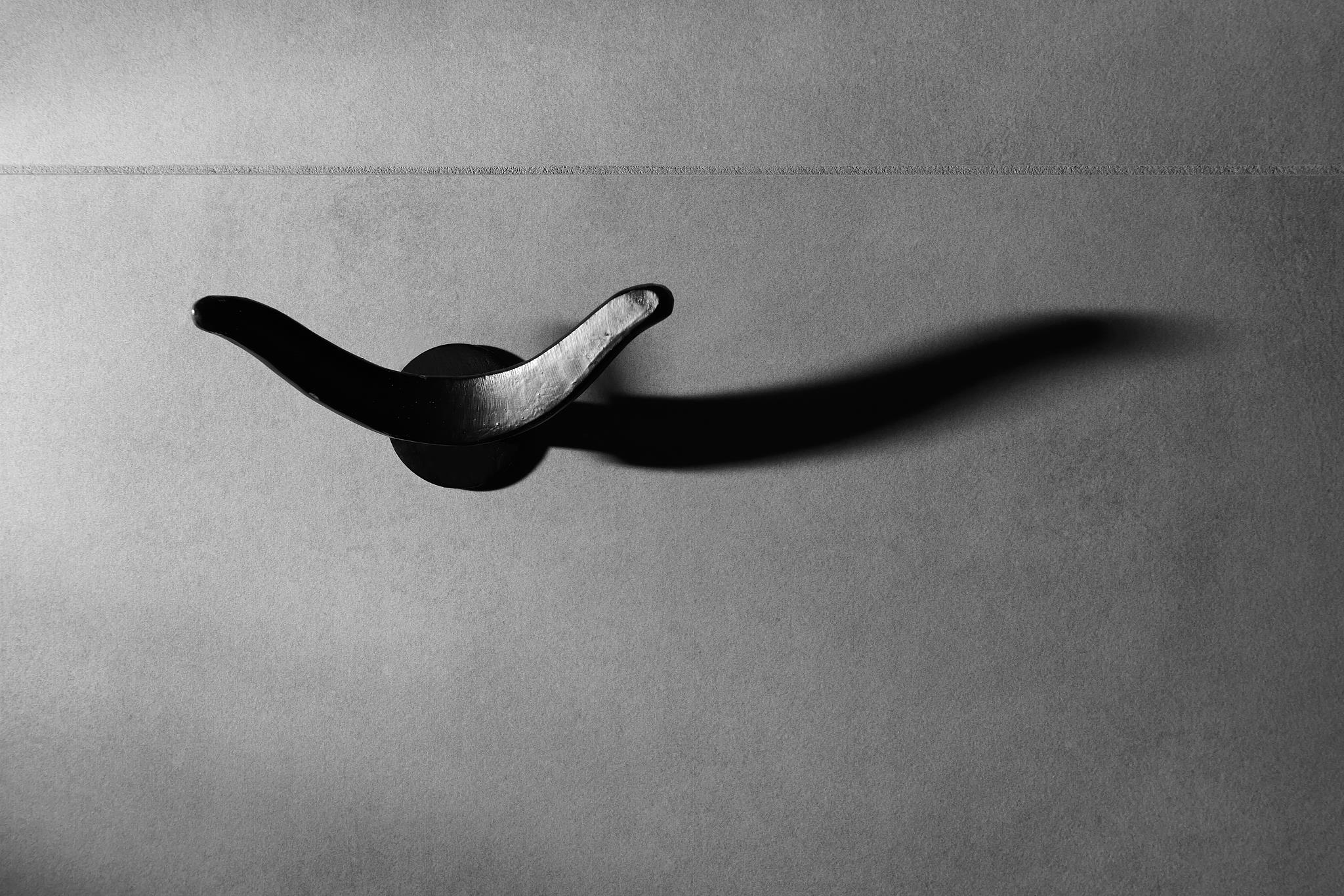 BULL_058